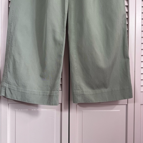 Everlane The Way-High Drape Pant Wide Leg High Waist Trouser Lily Pad 6S - Picture 4 of 11